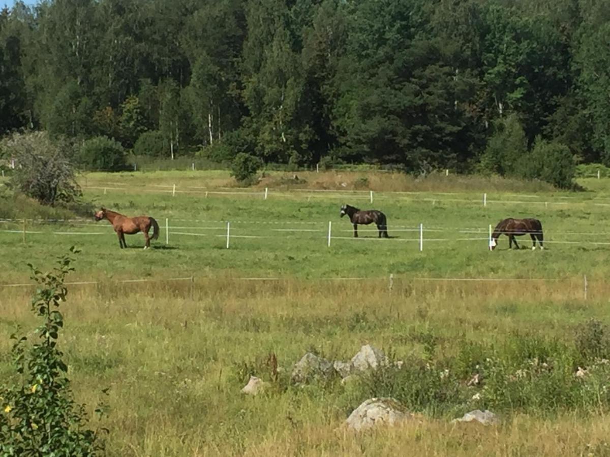 Egen Laegenhet I 2-Familjshus Pa Landet. Villa Tierp Buitenkant foto